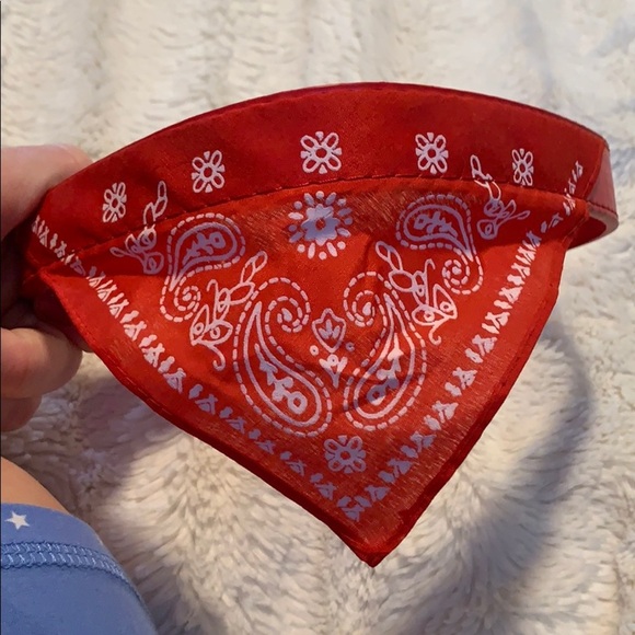 Dog Bandana Collar - Picture 3 of 3